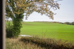 Photo 31- click for photo gallery